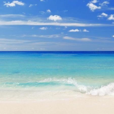 Best Location With Ocean View, Short Walk To Beach, Perfect Spot For Your Beach Vacation! Destin Eksteriør billede