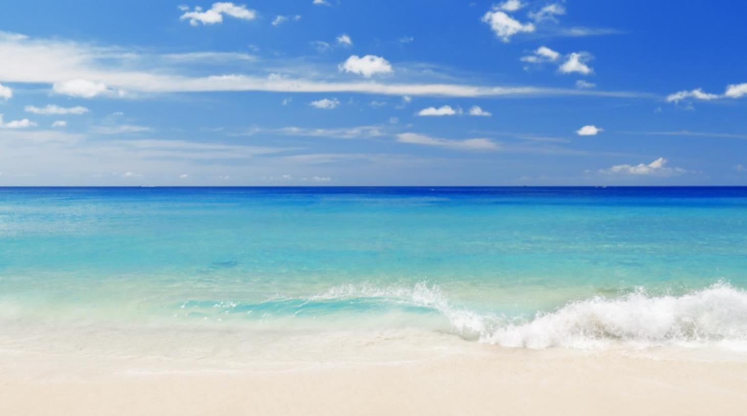 Best Location With Ocean View, Short Walk To Beach, Perfect Spot For Your Beach Vacation! Destin Eksteriør billede